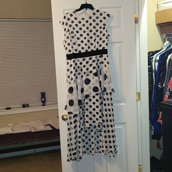 Polka Dot Dress - Picture 2 of 3